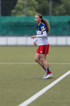 Bild 257 - wBJ Hamburger SV - FC Suederelbe : Ergebnis: 9:0